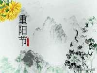 上海美之颜电子商务有限公司